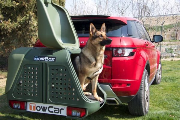 Portaperros TowBox Dog V2 Verde con perro