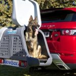 Towbox V2 DOG gris con perro
