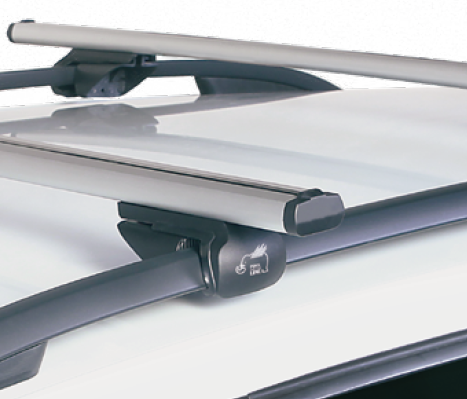 Jadeo Crítico Arte Barras techo EVO TOUR aluminio para vehículos con railing elevado